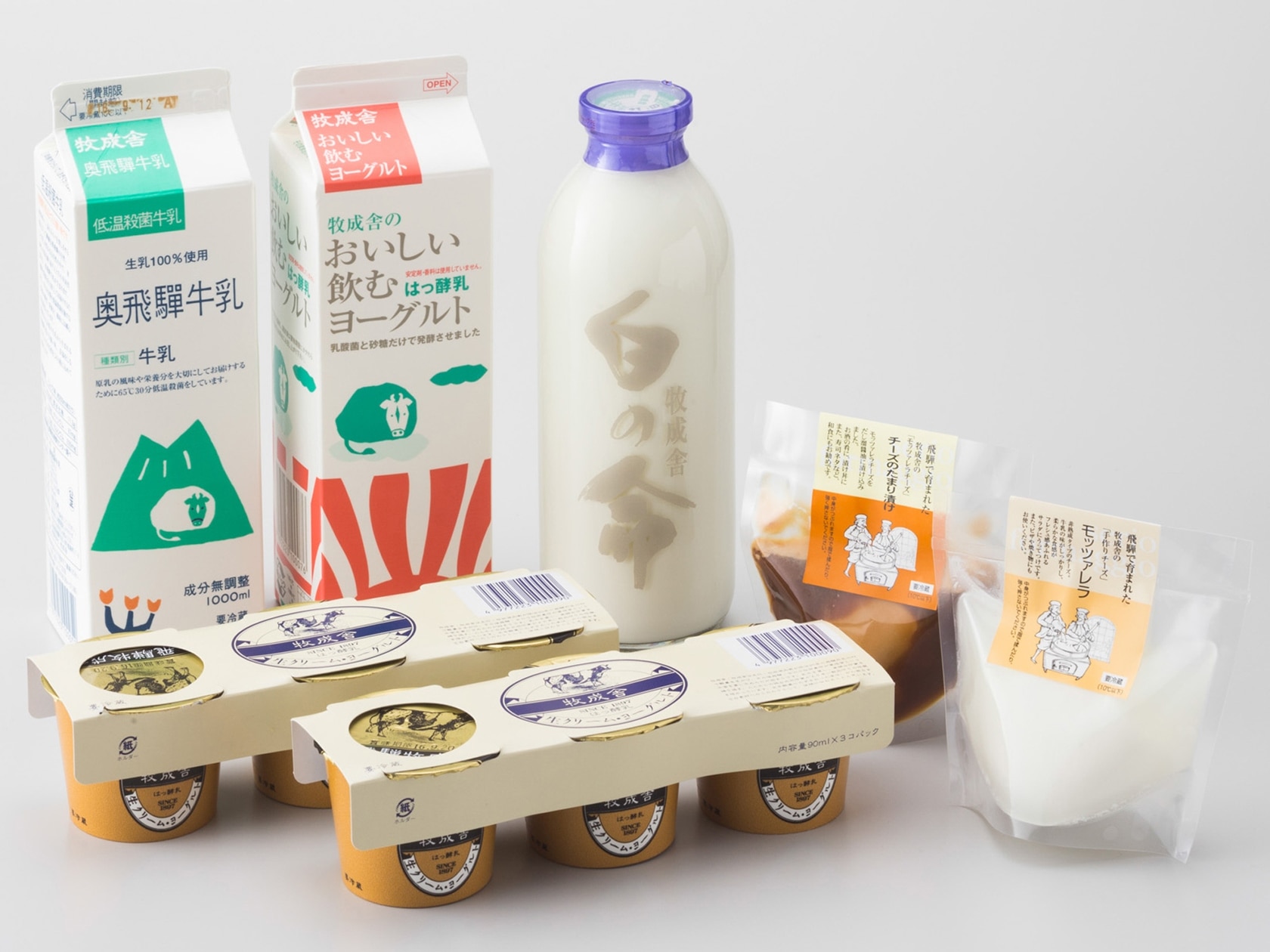 飛騨 牧成舎 こだわり乳製品セット
