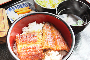 愛知のおつまみ「長坂養鰻場 三河一色産鰻 蒲焼(2本)」 3,240円