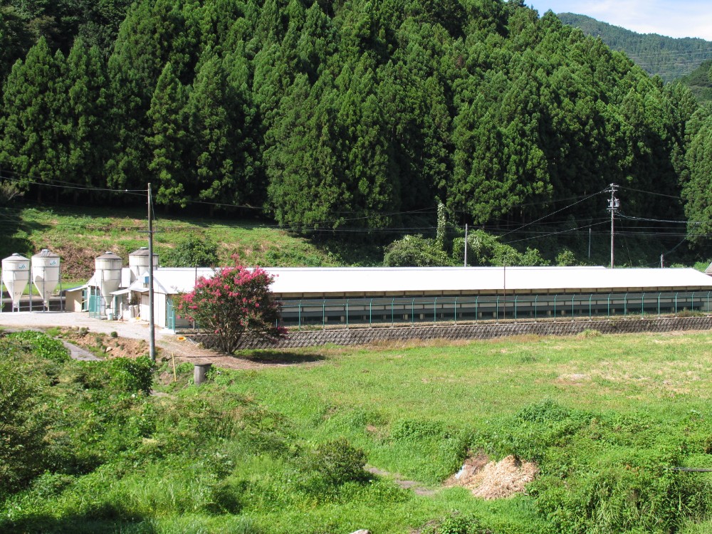 紹介文1