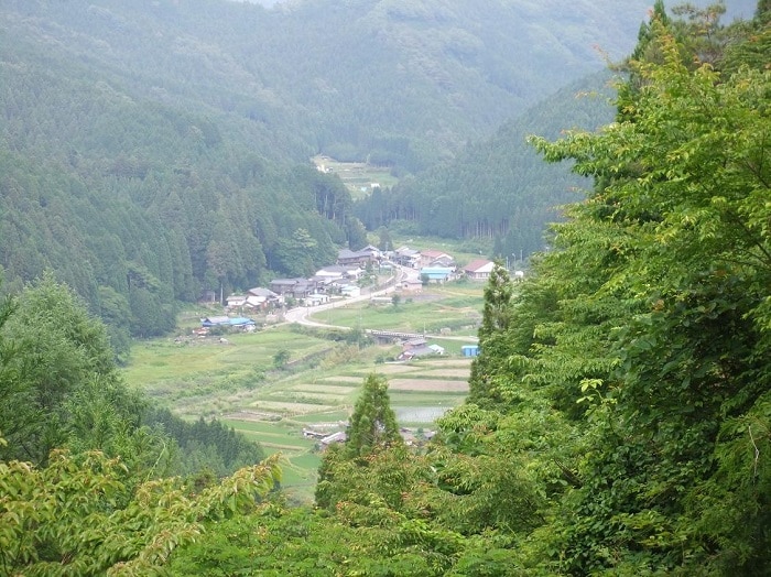 紹介文2