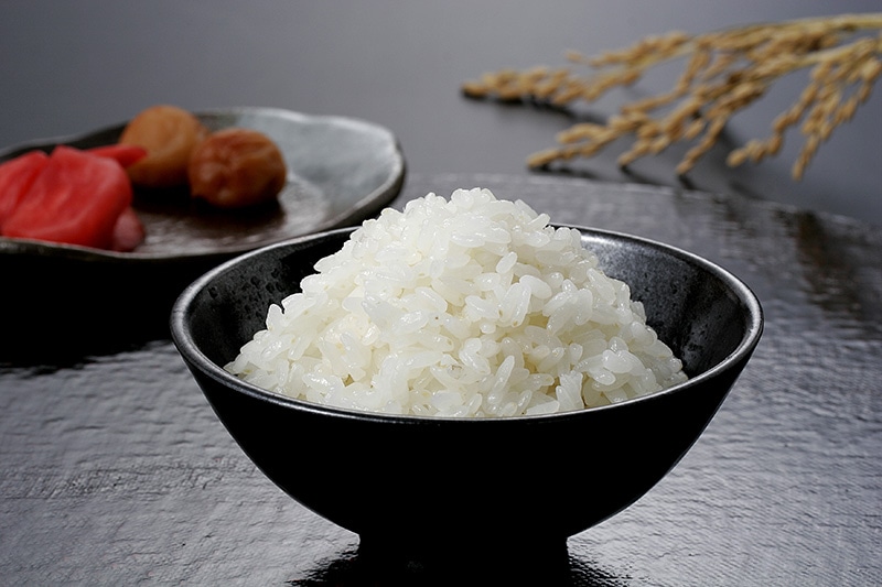 紹介文1