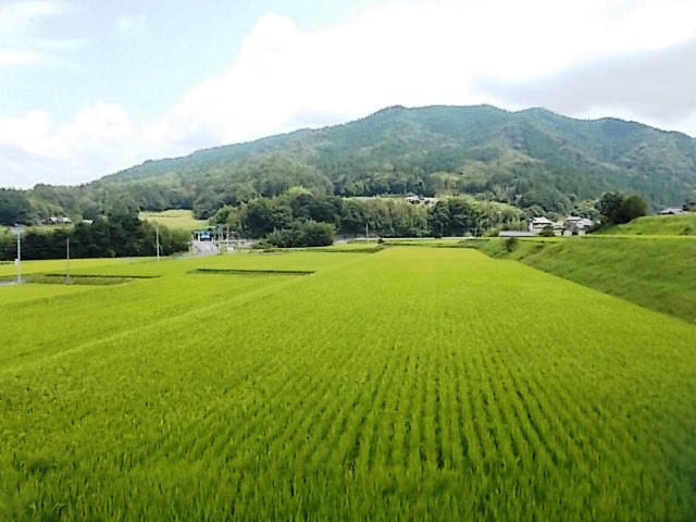 紹介文1