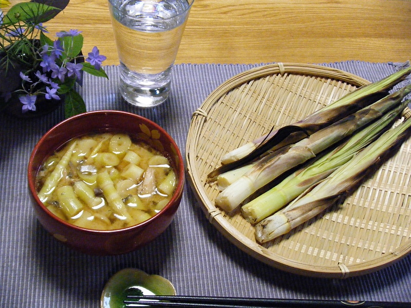 紹介文2