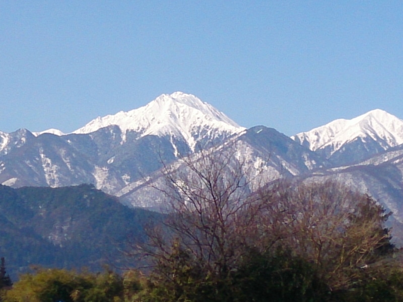 紹介文1