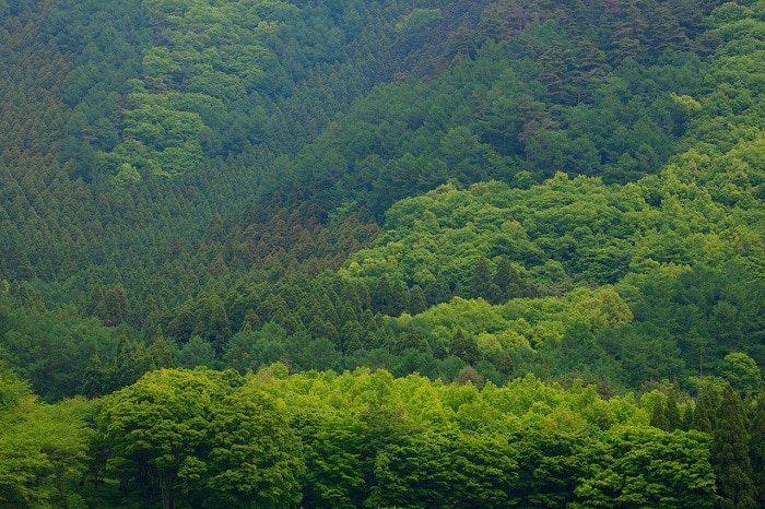 紹介文1