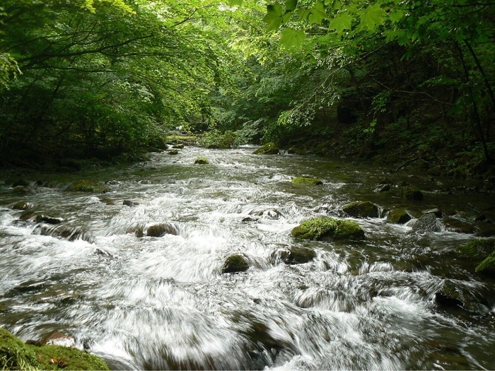 紹介文1