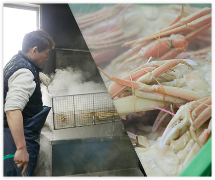 味付けは、母なる海の 「天然塩」のみ