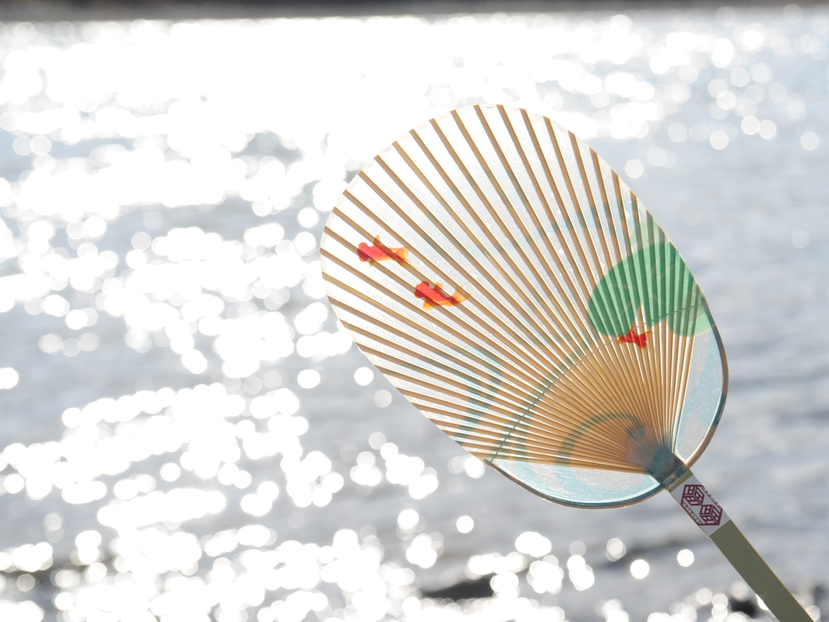 家田紙工 美濃手漉き和紙の水うちわ 両面雁皮紙 金魚 金魚 岐阜 いいもの探訪 Jr東海