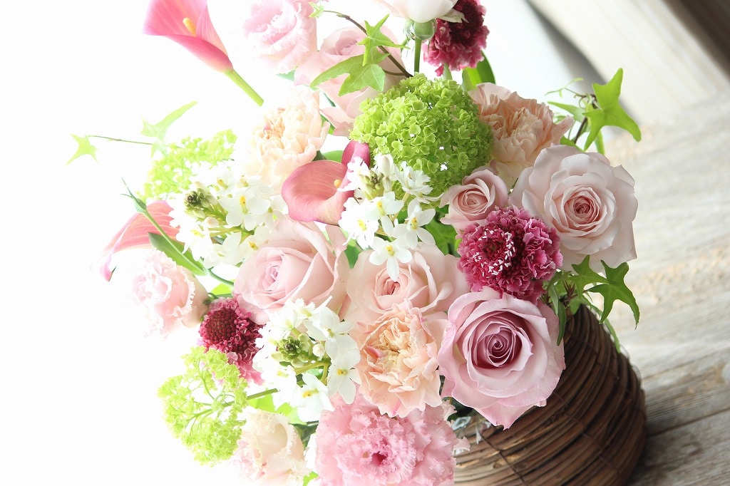 �_2026��̓�����^�Z�����@�t�����[�A�����W�����g�i�k�j