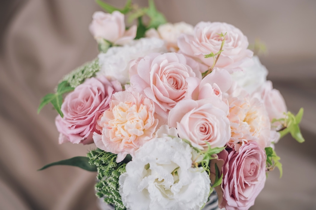 �_2026��̓�����^�Z�����@�t�����[�A�����W�����g