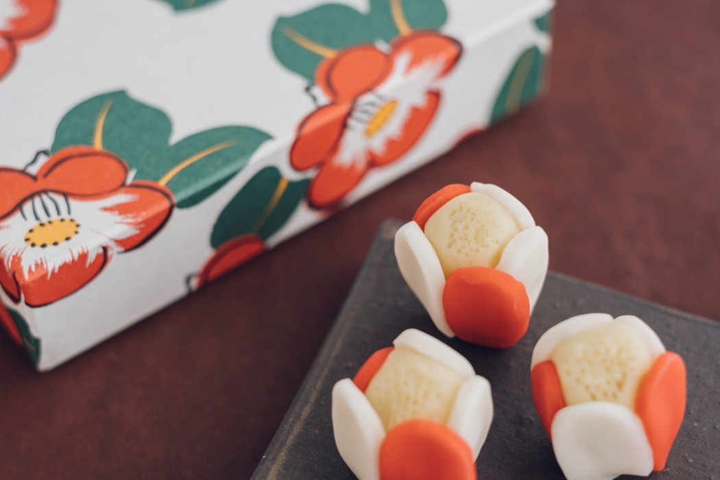 �y1��30�Z�b�g����z�݁X���ʑ��@�Ђ��ڂ��i6���j