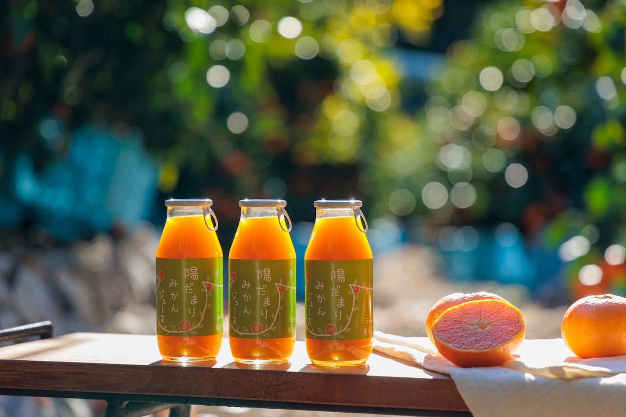 �z���܂�t�@�[���@���݂���W���[�X�@�X�g���[�g100���@180ml×8�{�Z�b�g