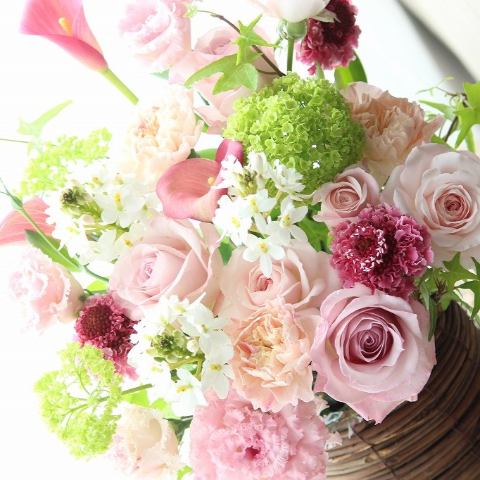 �_2026��̓�����^�Z�����@�t�����[�A�����W�����g�i�k�j