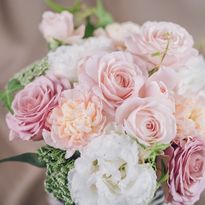 �_2026��̓�����^�Z�����@�t�����[�A�����W�����g