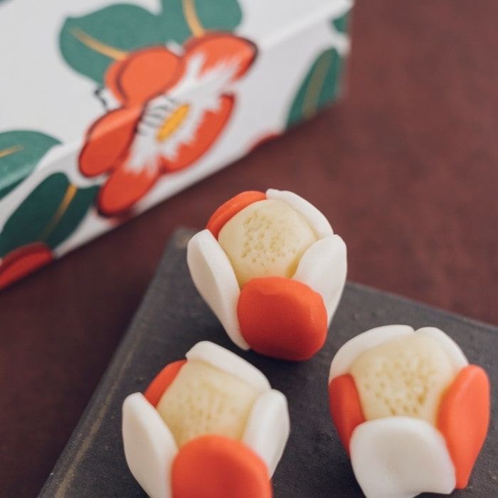 �y1��30�Z�b�g����z�݁X���ʑ��@�Ђ��ڂ��i6���j