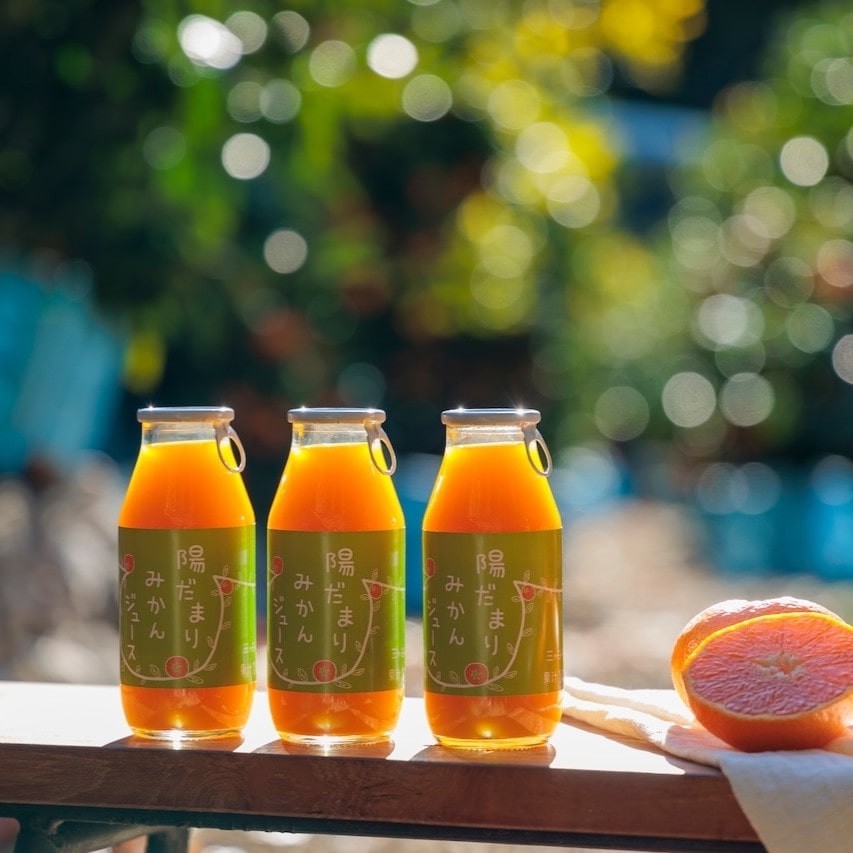 �z���܂�t�@�[���@���݂���W���[�X�@�X�g���[�g100���@180ml×6�{�Z�b�g