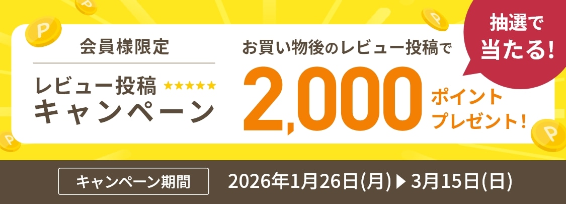 ���r���[���e�L�����y�[��