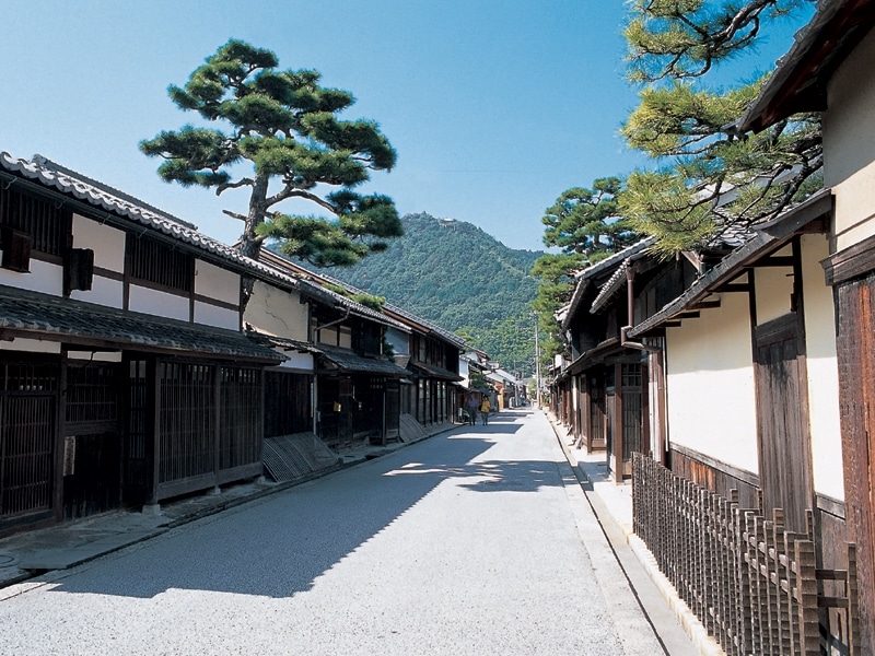 紹介文3