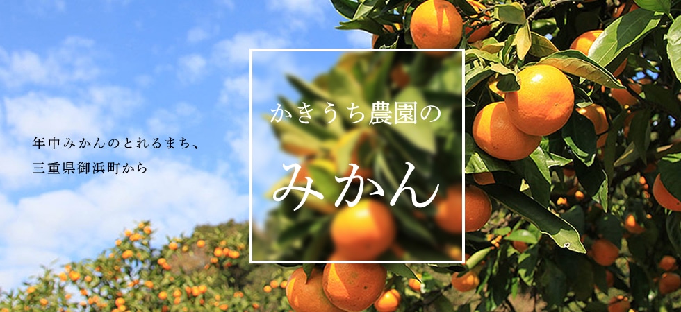 voice of Odai