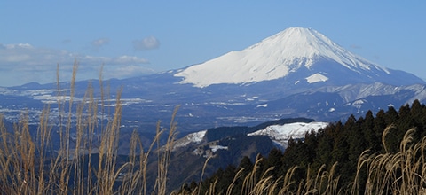 中沢酒造 松みどり 純米大吟醸 (化粧箱付）(松みどり純米大吟醸