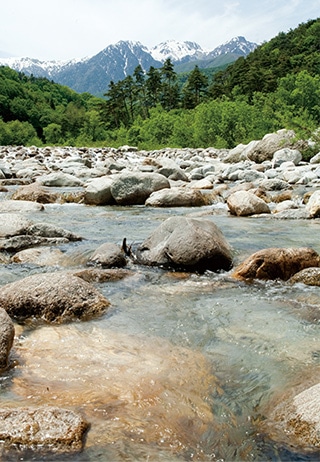 信州里の菓工房 栗サブレ32枚入(栗サブレ32枚): 長野｜いいもの探訪 JR東海